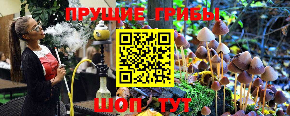 Канск  Галлюциногенные грибы мицелий  Вход с VPN 