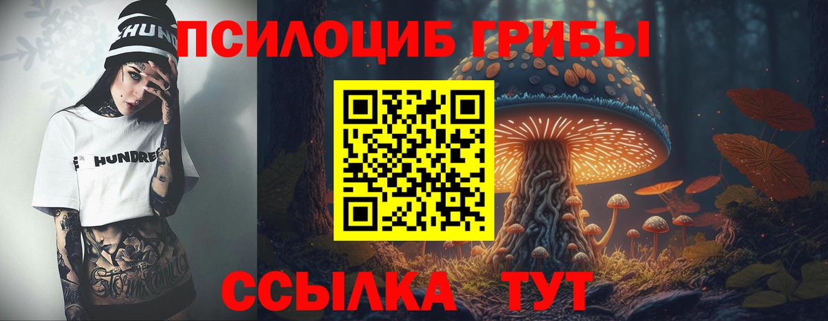 Галлюциногенные грибы Psilocybine cubensis Канск