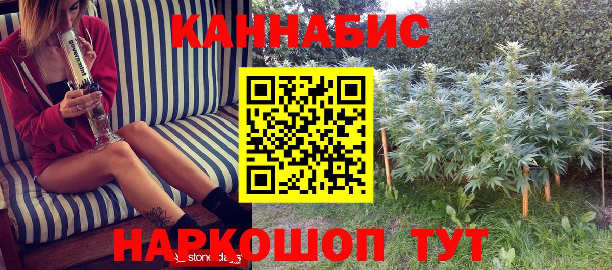 Конопля планчик  МАРИХУАНА план  Канск  Вход с VPN  Каннабис тримм 